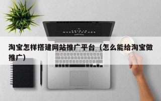 霸州淘宝怎样搭建网站推广平台（怎么能给淘宝做推广）